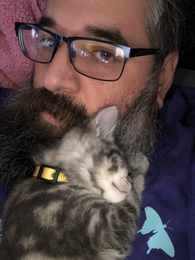 Блог - 10 людей, которые вначале были против «грязного кота», но потом что-то пошло не так 10 людей, которые вначале были против «грязного кота», но потом что-то пошло не так