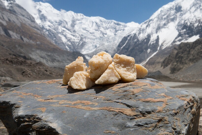 Гималайский сыр. Фото: pamir04.ru  Гималайский сыр. Фото: pamir04.ru