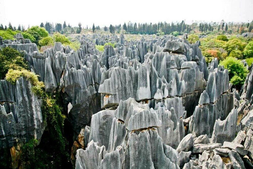 Каменный лес Шилинь. Фото: amuraworld.com  Каменный лес Шилинь. Фото: amuraworld.com