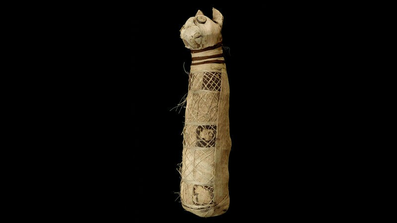 Древнеегипетская мумия кошки. Фото: livescience.com Древнеегипетская мумия кошки. Фото: livescience.com