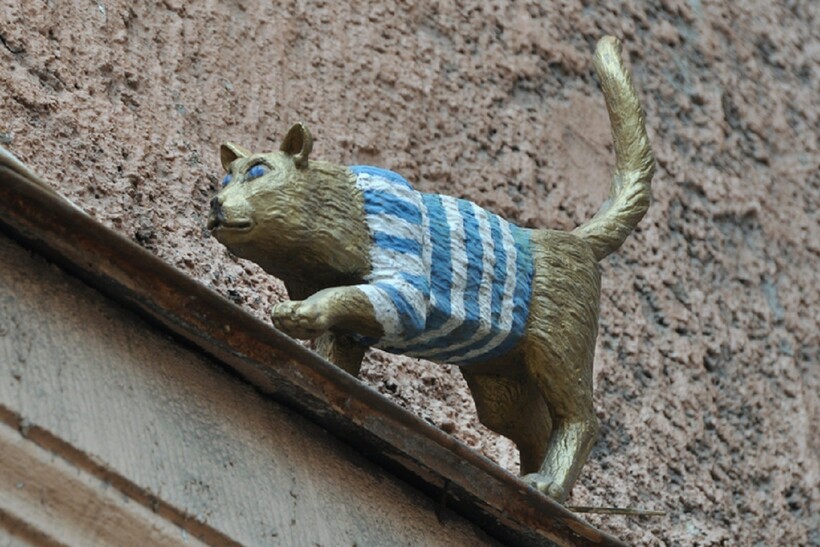 Фото: interessant.ru Фото: interessant.ru