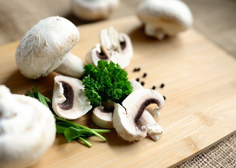 Фото: congerdesign/pixabay.com Фото: congerdesign/pixabay.com