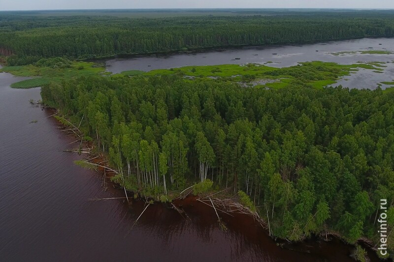 Святовский Мох. Фото: cherinfo.ru  Святовский Мох. Фото: cherinfo.ru