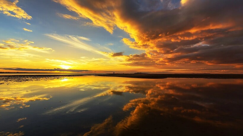 Фото: Vicki Smith / gettyimages.com Фото: Vicki Smith / gettyimages.com