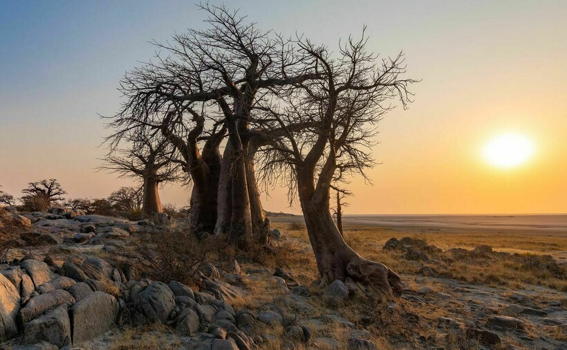 Фото: Johannes Van Der Walt / flickr.com Фото: Johannes Van Der Walt / flickr.com