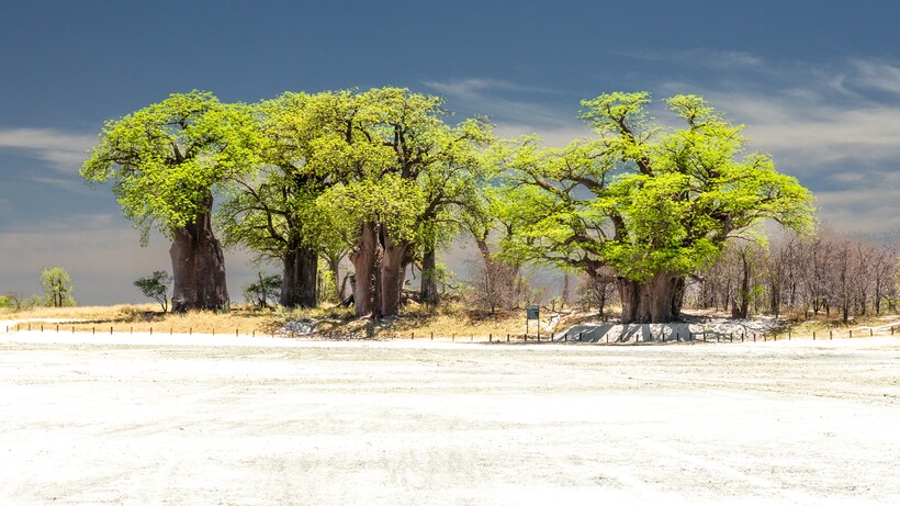 Фото: Thomas Retterath / flickr.com Фото: Thomas Retterath / flickr.com