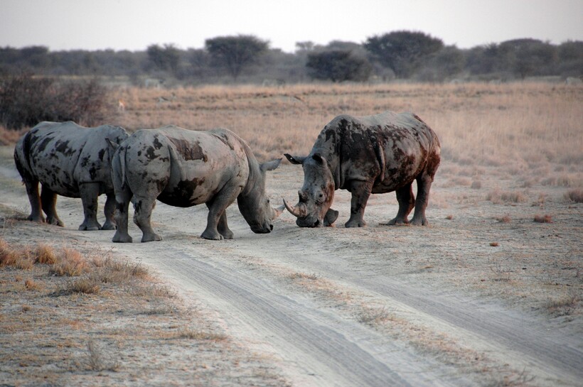 Фото: servventer / flickr.com Фото: servventer / flickr.com