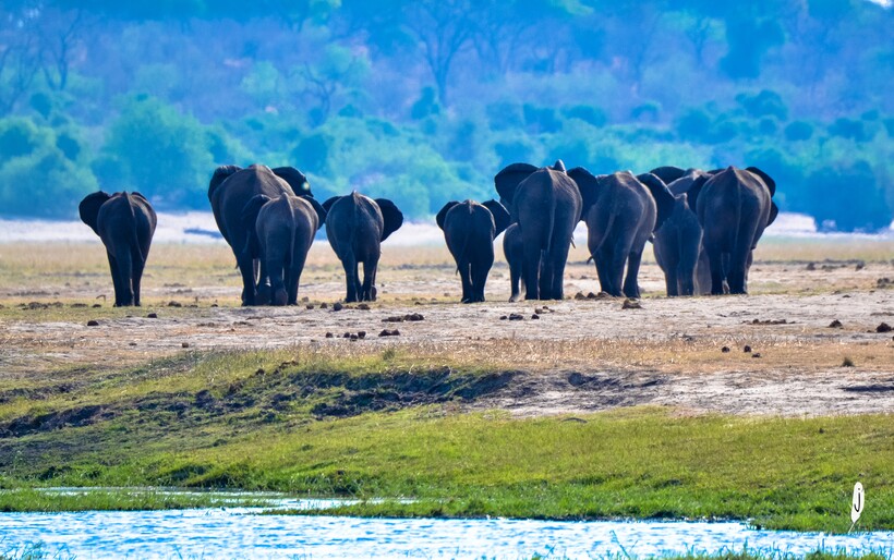 Фото: Julie Zoney / flickr.com Фото: Julie Zoney / flickr.com