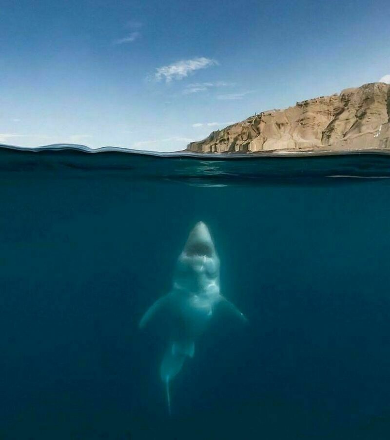 Блог - 17 снимков моря, которые пугают до чертиков 17 снимков моря, которые пугают до чертиков