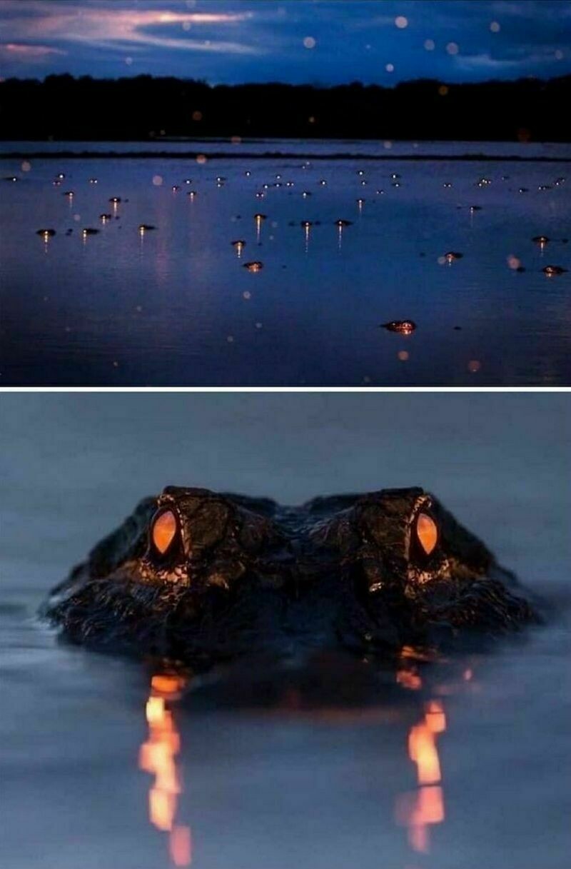 Блог - 17 снимков моря, которые пугают до чертиков 17 снимков моря, которые пугают до чертиков