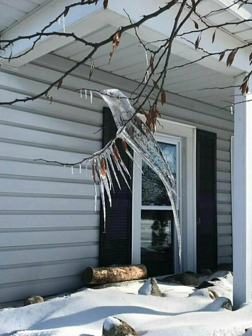 Блог - 14 раз, когда людям везде мерещились лица и силуэты людей и животных 14 раз, когда людям везде мерещились лица и силуэты людей и животных