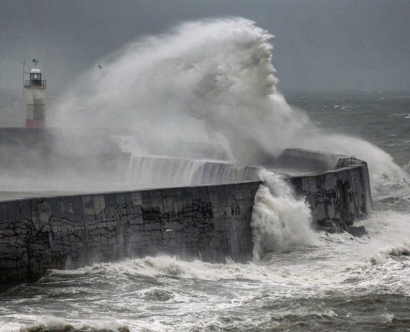 Блог - 14 раз, когда людям везде мерещились лица и силуэты людей и животных 14 раз, когда людям везде мерещились лица и силуэты людей и животных