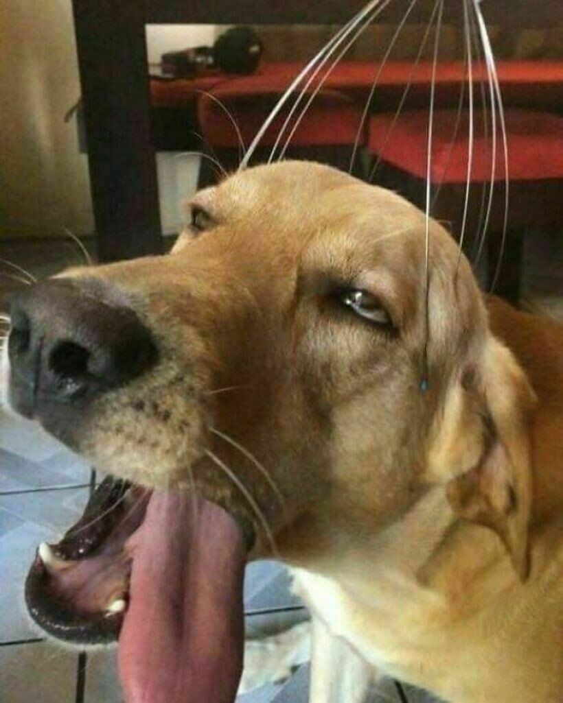 Блог - 16 комичных фото, на которых происходит что-то странное и вызывающее замешательство 16 комичных фото, на которых происходит что-то странное и вызывающее замешательство