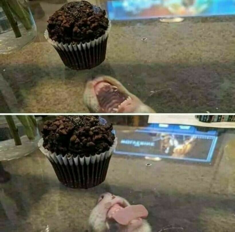 Блог - 16 комичных фото, на которых происходит что-то странное и вызывающее замешательство 16 комичных фото, на которых происходит что-то странное и вызывающее замешательство