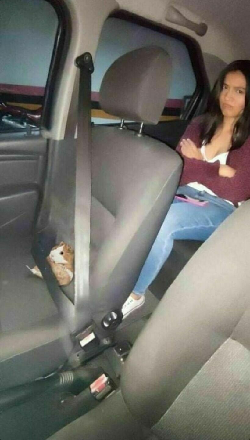 Блог - 16 комичных фото, на которых происходит что-то странное и вызывающее замешательство 16 комичных фото, на которых происходит что-то странное и вызывающее замешательство