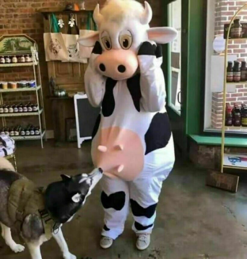 Блог - 16 комичных фото, на которых происходит что-то странное и вызывающее замешательство 16 комичных фото, на которых происходит что-то странное и вызывающее замешательство