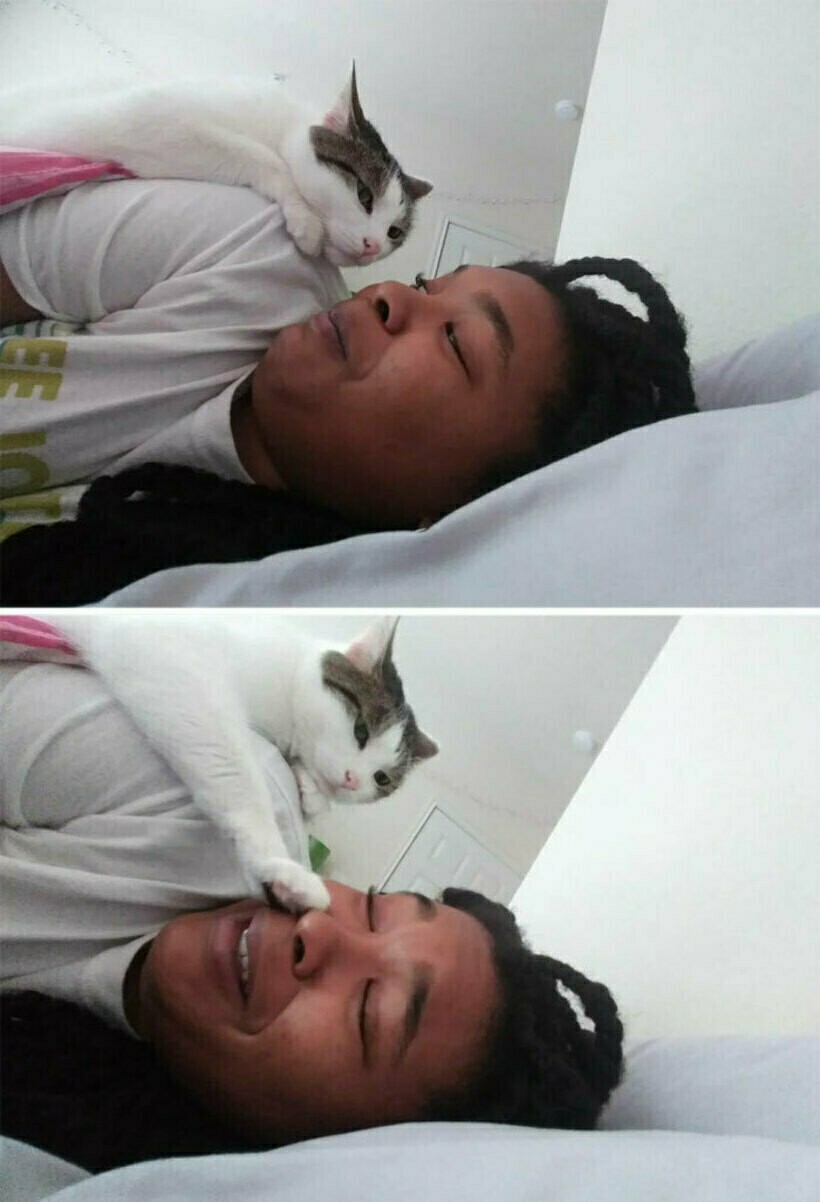 Блог - 14 раз, когда люди лишились всяческого уединения с тех пор, как завели питомца 14 раз, когда люди лишились всяческого уединения с тех пор, как завели питомца