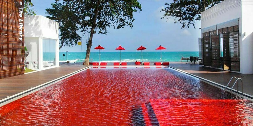 Фото: sporttes.ru  Фото: sporttes.ru