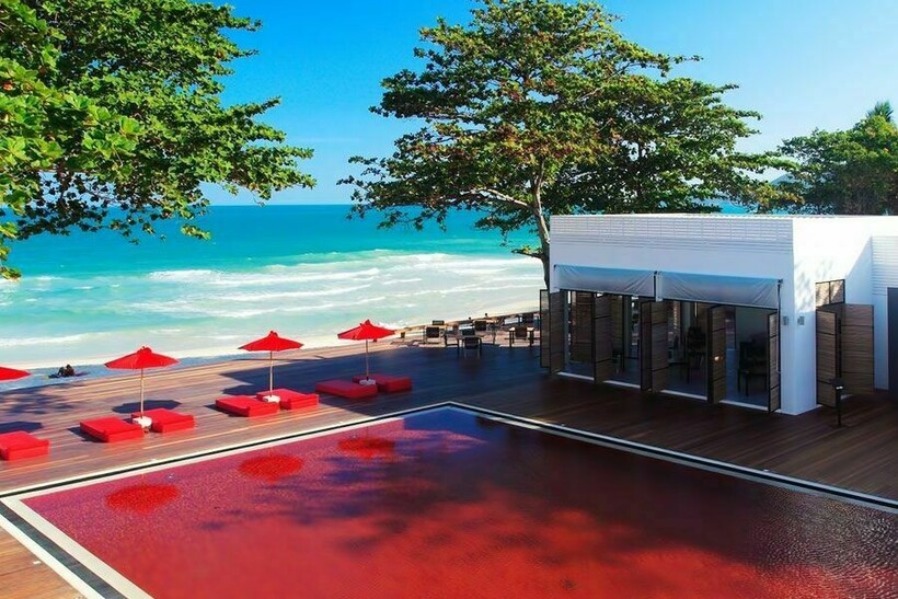 Фото: recreoviral.com  Фото: recreoviral.com