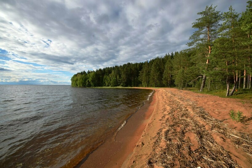 Фото: fotokto.ru Фото: fotokto.ru