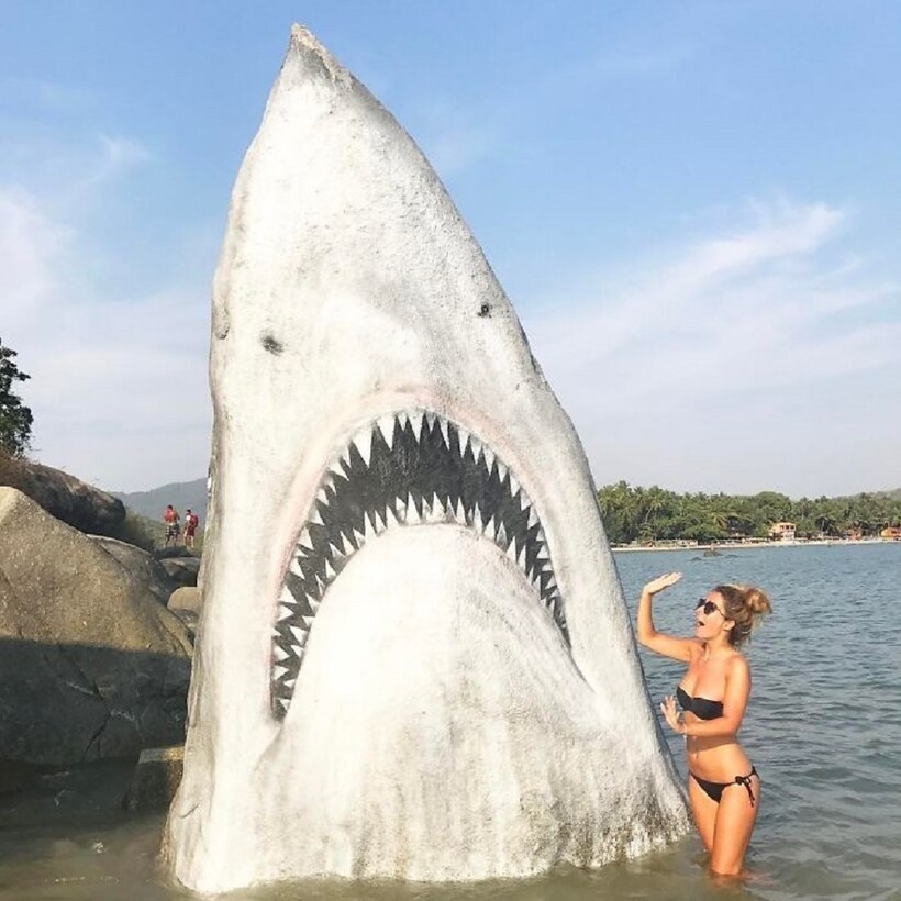 Блог - 16 забавных снимков, которые доказывают, что пляж — портал для самого интересного 16 забавных снимков, которые доказывают, что пляж — портал для самого интересного