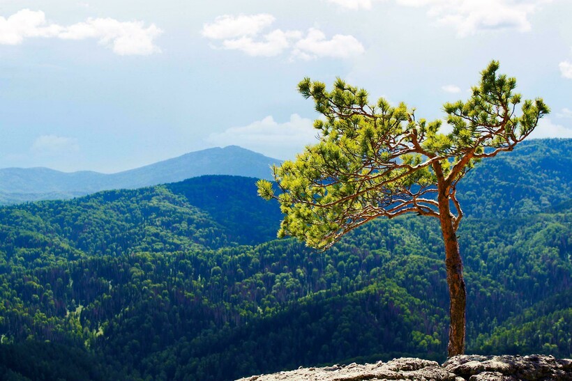 Фото: 9891090/pixabay.com  Фото: 9891090/pixabay.com