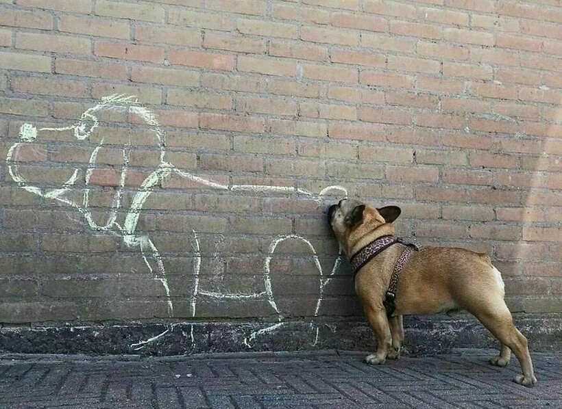 Блог - 14 забавных уличных фотографий, которые поднимают настроение и вызывают улыбку 14 забавных уличных фотографий, которые поднимают настроение и вызывают улыбку