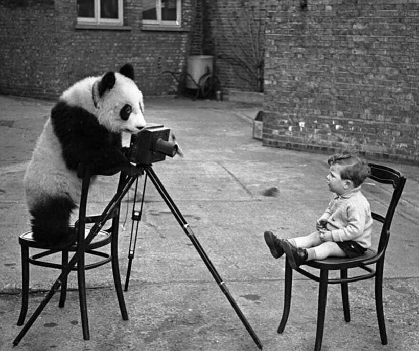 Блог - 14 забавных уличных фотографий, которые поднимают настроение и вызывают улыбку 14 забавных уличных фотографий, которые поднимают настроение и вызывают улыбку