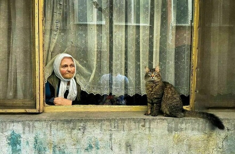 Блог - 14 забавных уличных фотографий, которые поднимают настроение и вызывают улыбку 14 забавных уличных фотографий, которые поднимают настроение и вызывают улыбку