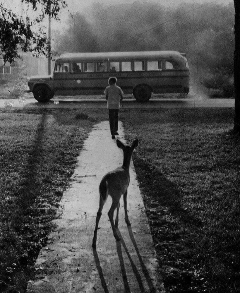 Блог - 14 забавных уличных фотографий, которые поднимают настроение и вызывают улыбку 14 забавных уличных фотографий, которые поднимают настроение и вызывают улыбку