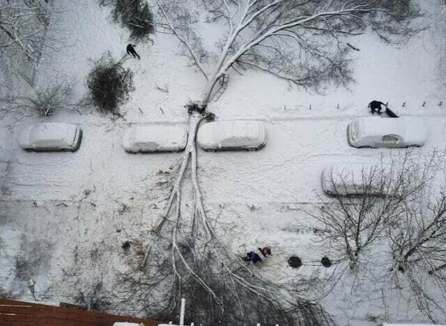 Блог - 10 примеров невероятного везения, в которое сложно поверить 10 примеров невероятного везения, в которое сложно поверить