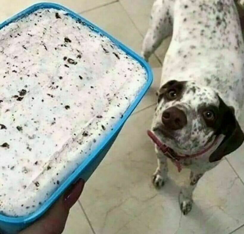 Блог - 20 странных и комичных снимков с едой, которые вызывают изумление и замешательство 20 странных и комичных снимков с едой, которые вызывают изумление и замешательство