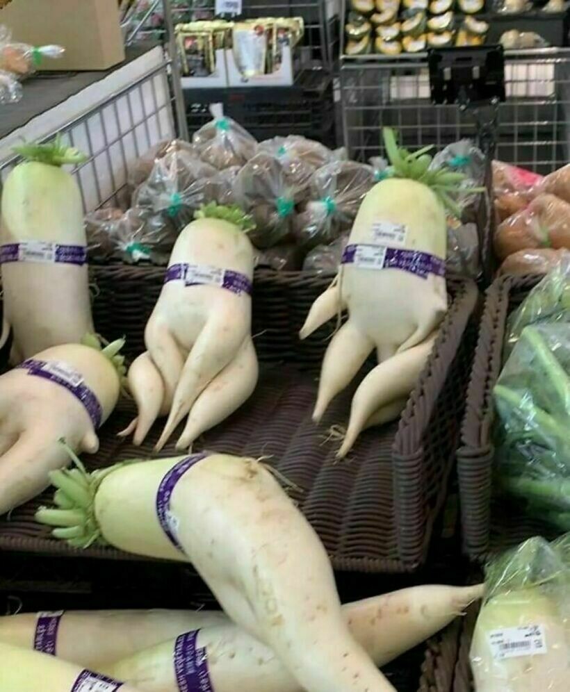 Блог - 20 странных и комичных снимков с едой, которые вызывают изумление и замешательство 20 странных и комичных снимков с едой, которые вызывают изумление и замешательство