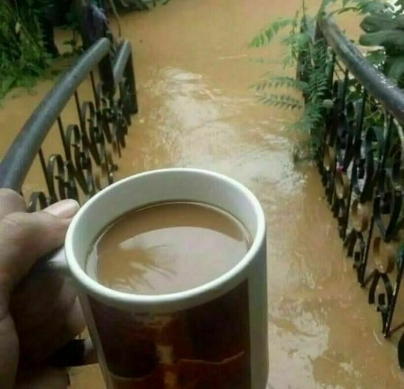 Блог - 20 странных и комичных снимков с едой, которые вызывают изумление и замешательство 20 странных и комичных снимков с едой, которые вызывают изумление и замешательство