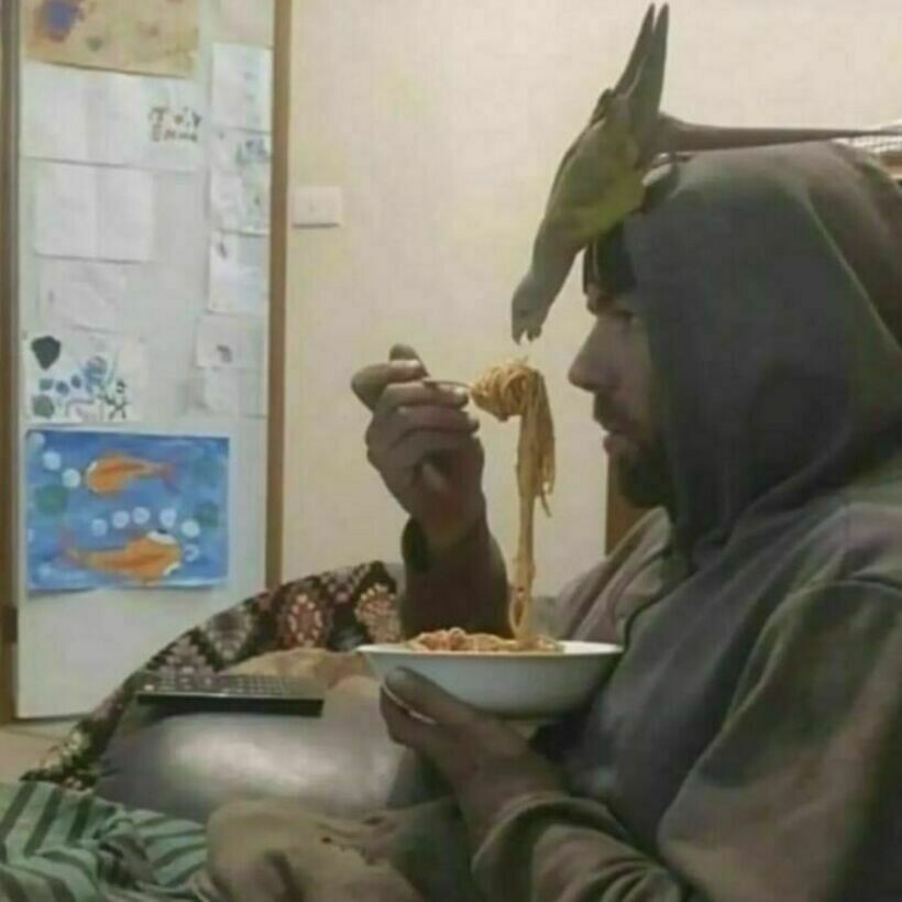 Блог - 20 странных и комичных снимков с едой, которые вызывают изумление и замешательство 20 странных и комичных снимков с едой, которые вызывают изумление и замешательство