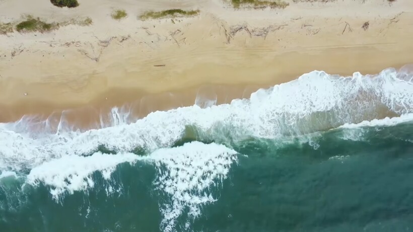 Блог - Видео: Почему туристы не купаются на тихоокеанском побережье Северной и Южной Америки Видео: Почему туристы не купаются на тихоокеанском побережье Северной и Южной Америки