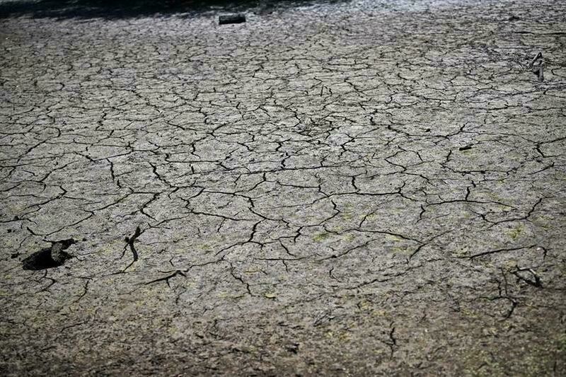 15 фото о том, как британцы спасаются от рекордной жары