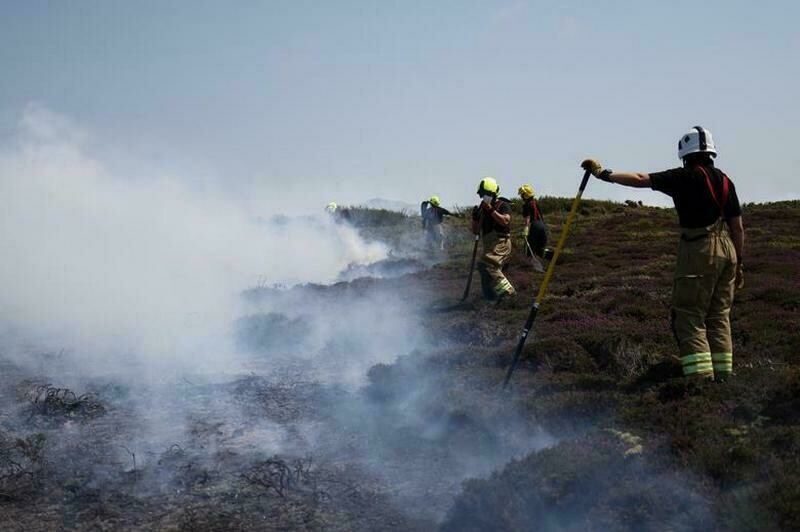 15 фото о том, как британцы спасаются от рекордной жары