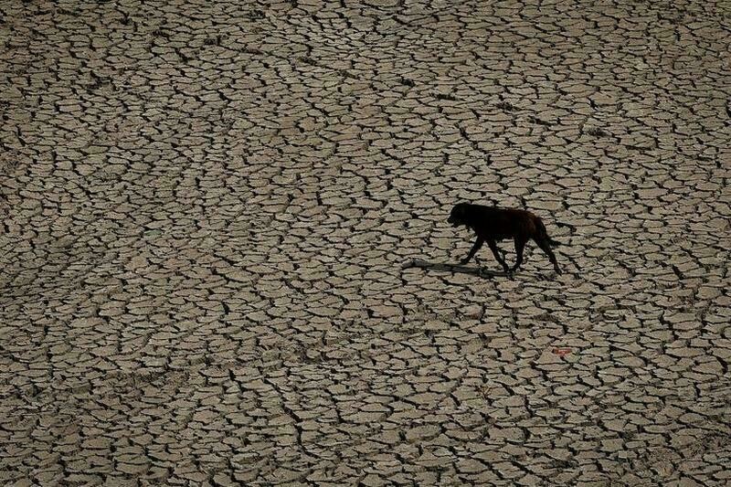 Фото: Adnan Abidi/Reuters Фото: Adnan Abidi/Reuters