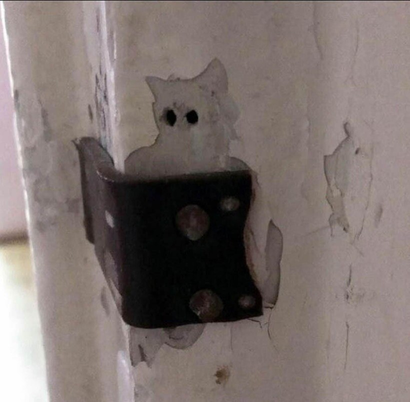 Блог - 16 забавных фото, на которых запечатлены котики, хотя на самом деле на снимках их нет 16 забавных фото, на которых запечатлены котики, хотя на самом деле на снимках их нет