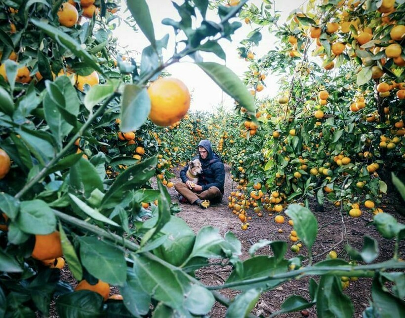 Испания Испания