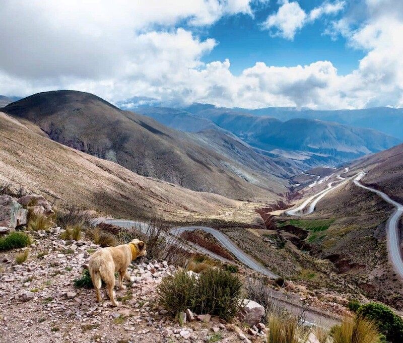 Аргентина Аргентина
