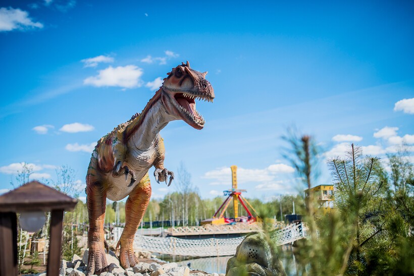 Фото: юркинпарк.рф 