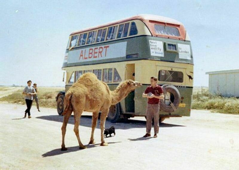 Фото: dailyrecord.co.uk Фото: dailyrecord.co.uk