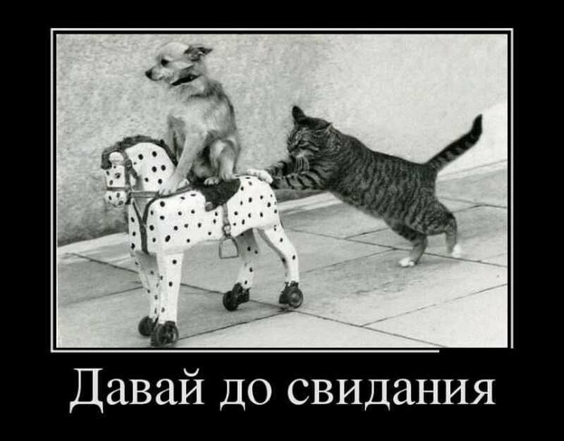 Фото: jokesland.net.ru Фото: jokesland.net.ru