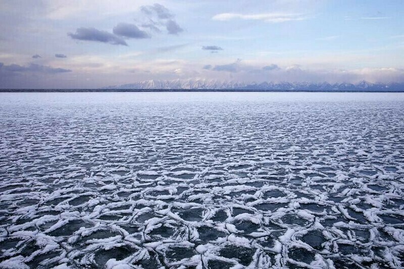 Фото: Александр Ведерников Фото: Александр Ведерников