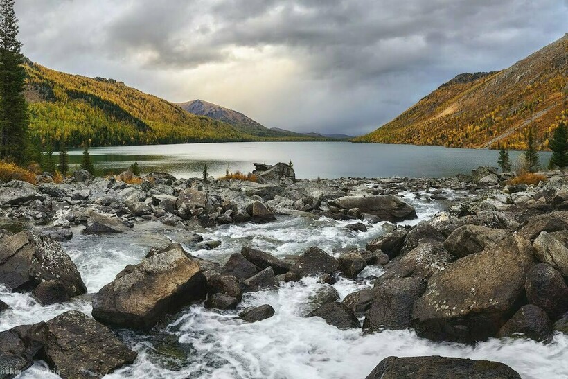 Фото: Дмитрий Багинский/35photo.pro Фото: Дмитрий Багинский/35photo.pro