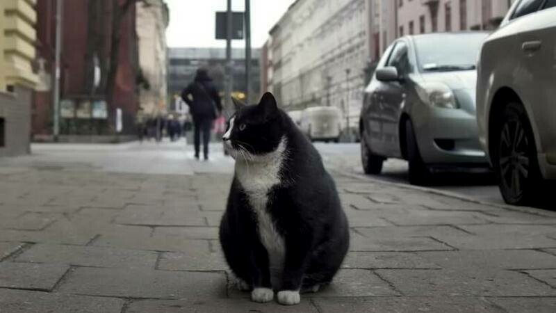 Фото: timeout.com Фото: timeout.com