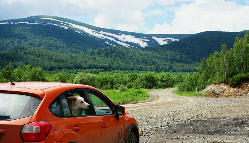 Фото: prospekt-desires.ru