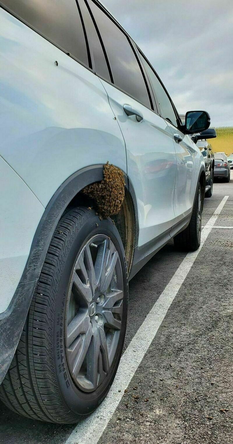 Блог - 12 людей, у которых день не задался 12 людей, у которых день не задался